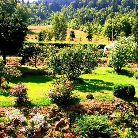 Agroturystyka Gluszyca Lomnica Lomnica  Εξωτερικό φωτογραφία