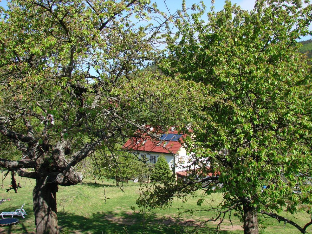 Agroturystyka Gluszyca Lomnica Lomnica  Εξωτερικό φωτογραφία